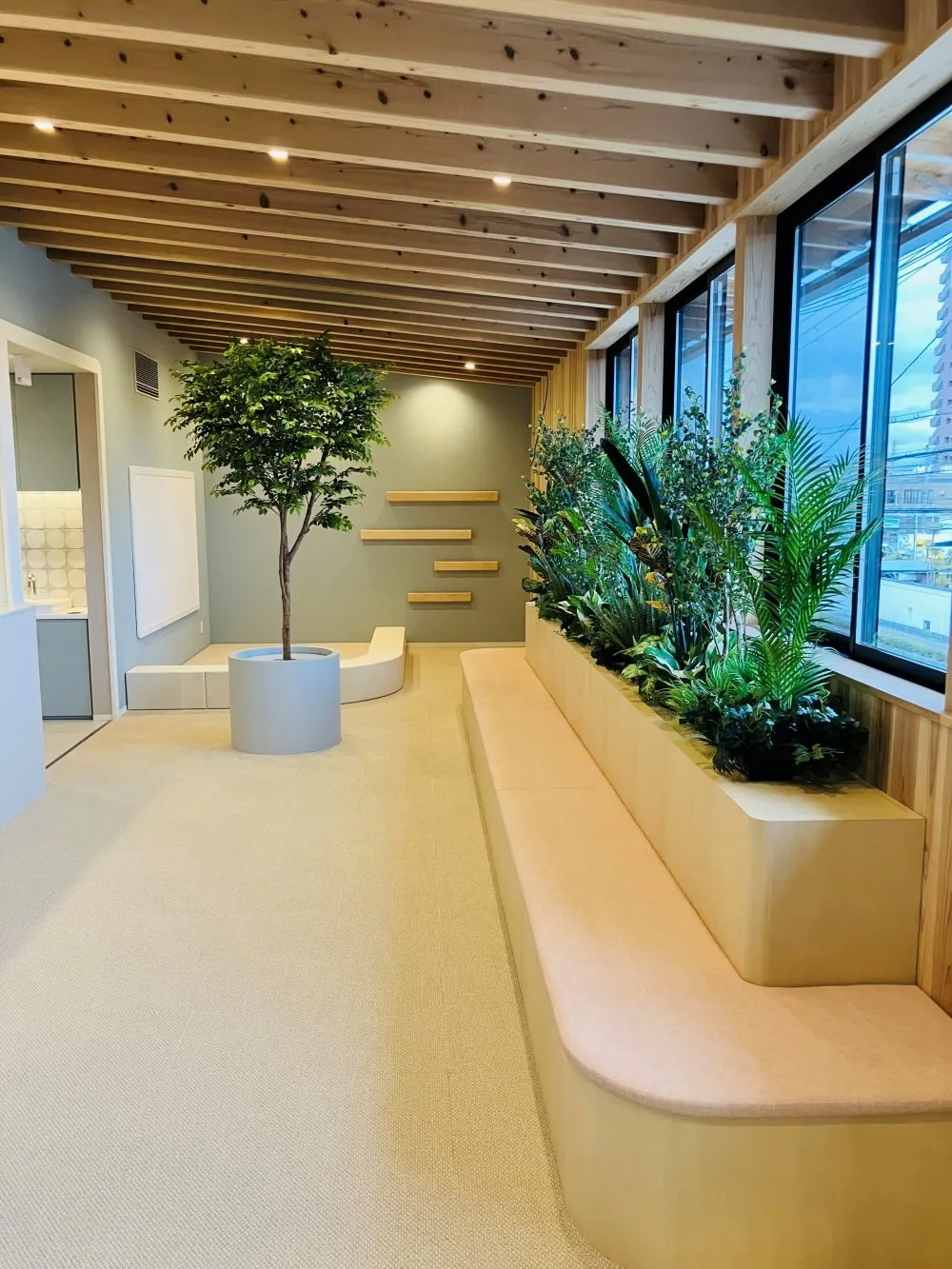 CLINIC (artificial plants)