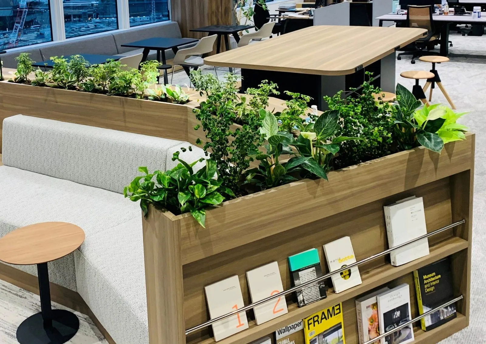 OFFICE (plants)