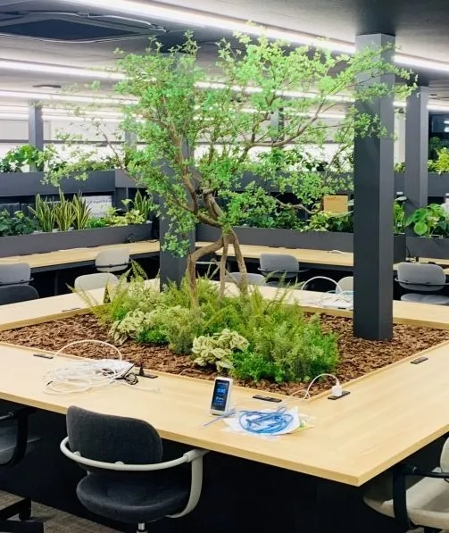 OFFICE (plants ＆ artificial plants)